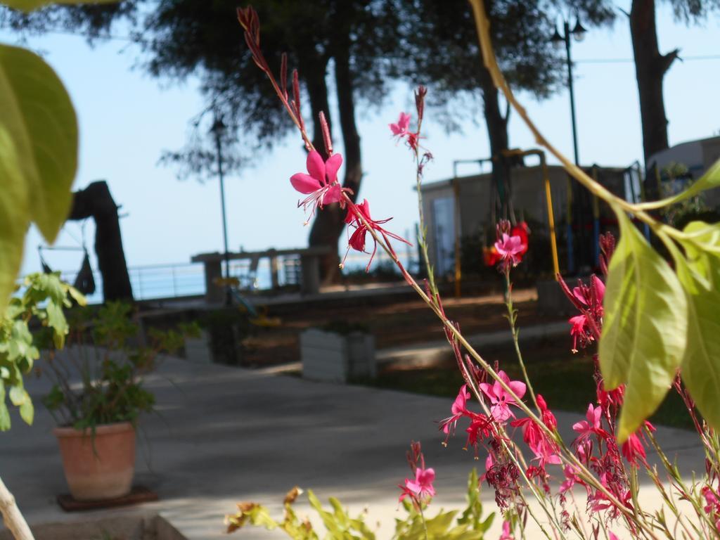 Brunello Seaside Apartments Lefkada City Bagian luar foto